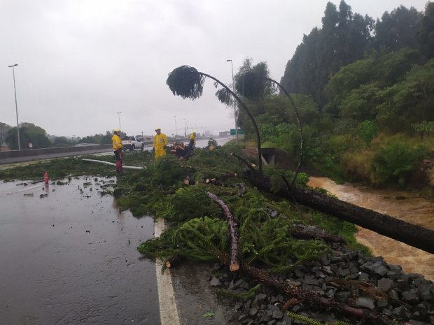 Temporal causa três mortes em Santa Catarina