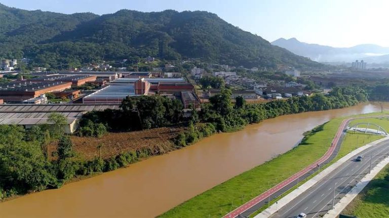 Weg promove plantio de árvores em Jaraguá do Sul