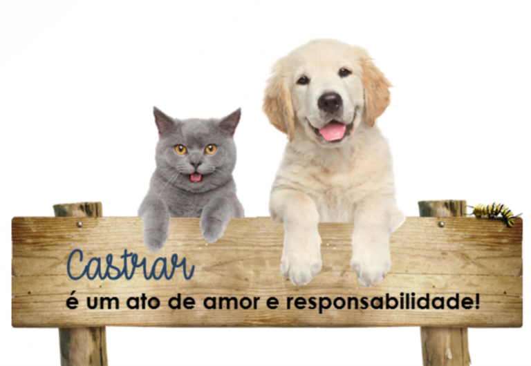 Consórcio deve administrar castração de animais, informa vereador