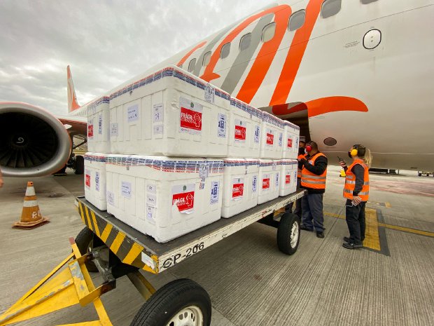 SC recebe 394 mil doses de vacina contra a Covid-19 entre terça e quarta-feira