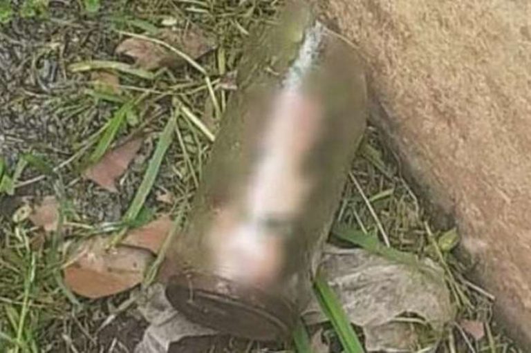 Homem descobre pênis decepado dentro de pote no jardim da casa da mãe