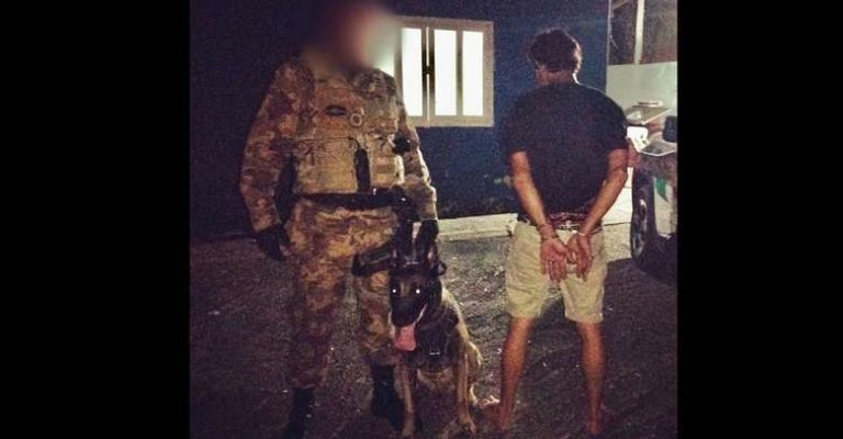Cão da PM encontra ladrão de carro que é preso escondido embaixo da cama em Guaramirim
