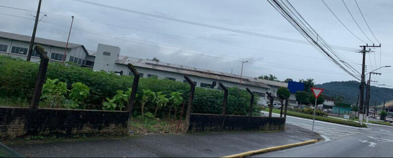 Plantação de aipim em Jaraguá vira debate sobre trânsito
