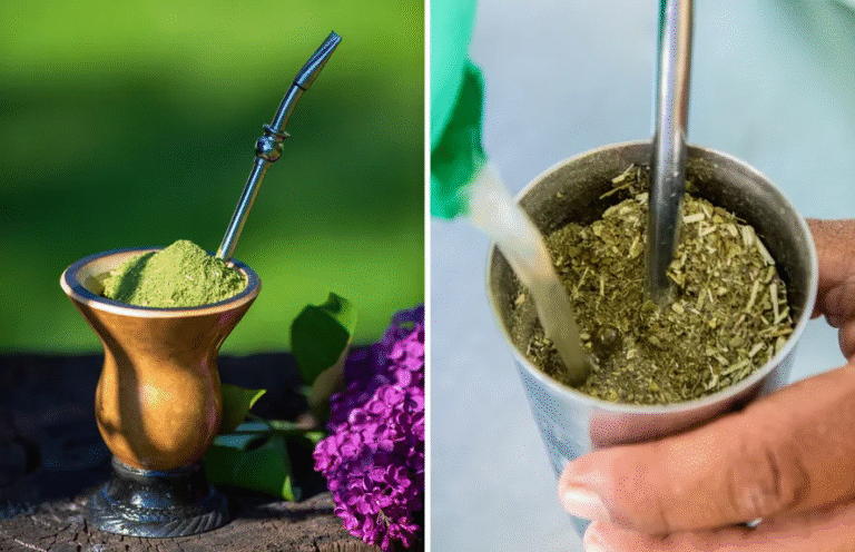 Chimarrão e Tereré: a tradição dos mateiros e as diferenças que refrescam e aquecem