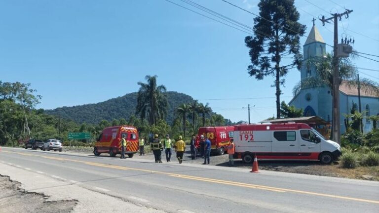 Homem de 53 anos sofre graves ferimentos após ser atingido por árvore em área de mata na BR-280