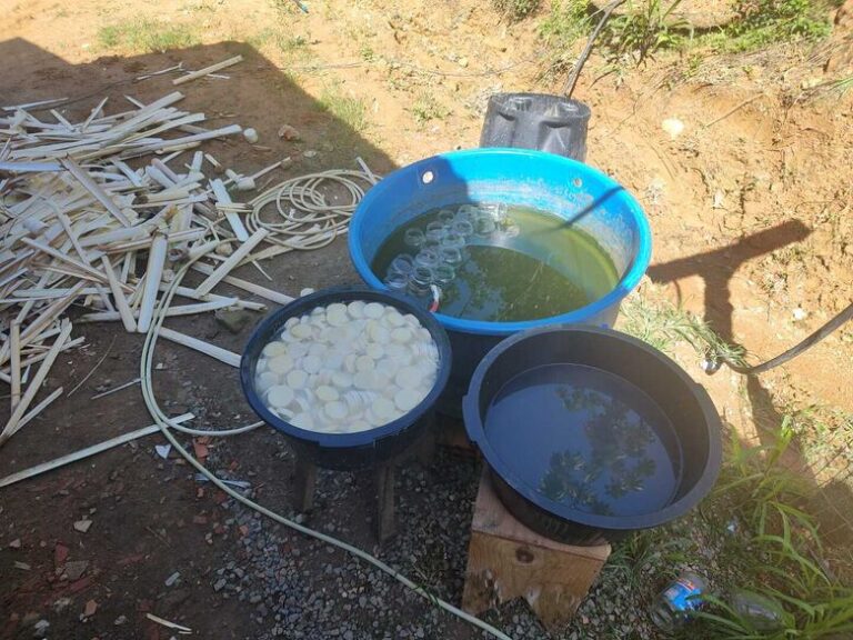 Ação conjunta da vigilância sanitária e Polícia Militar em Jaraguá do Sul desmantela produção irregular de conservas de palmito