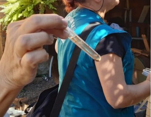 Bairros com mais focos do mosquito em Jaraguá do Sul em 2023