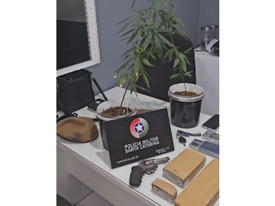 Denúncia de perturbação revela esquema de tráfico e resulta em prisões em Jaraguá do Sul