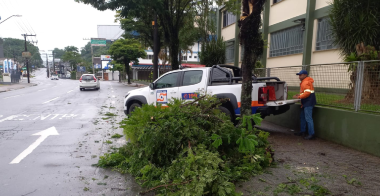 Defesa Civil atendeu 15 ocorrências em função da chuva