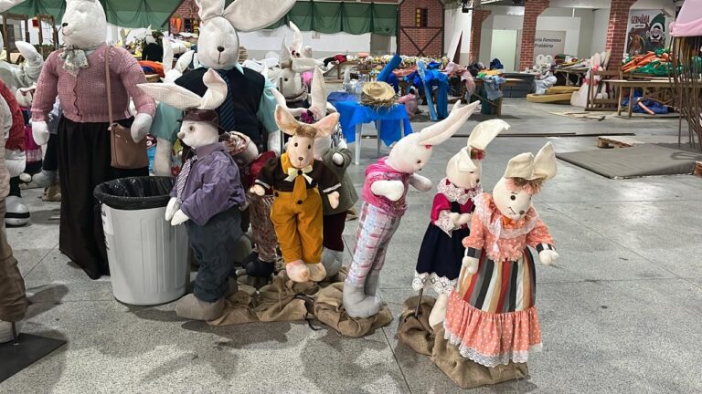 Osterpak em Jaraguá do Sul inicia no próximo sábado (24)