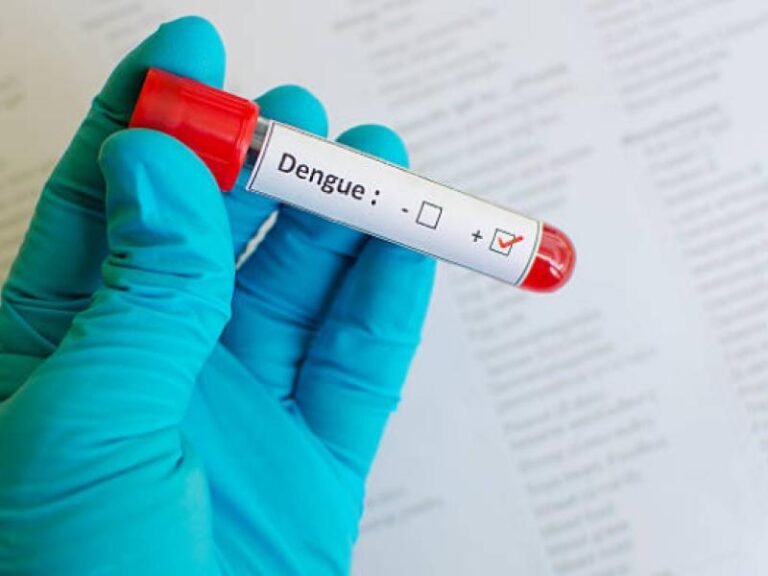 Confirmado o 7º óbito relacionado à dengue em Jaraguá do Sul
