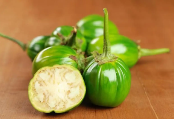 Jiló: o superalimento que você precisa conhecer