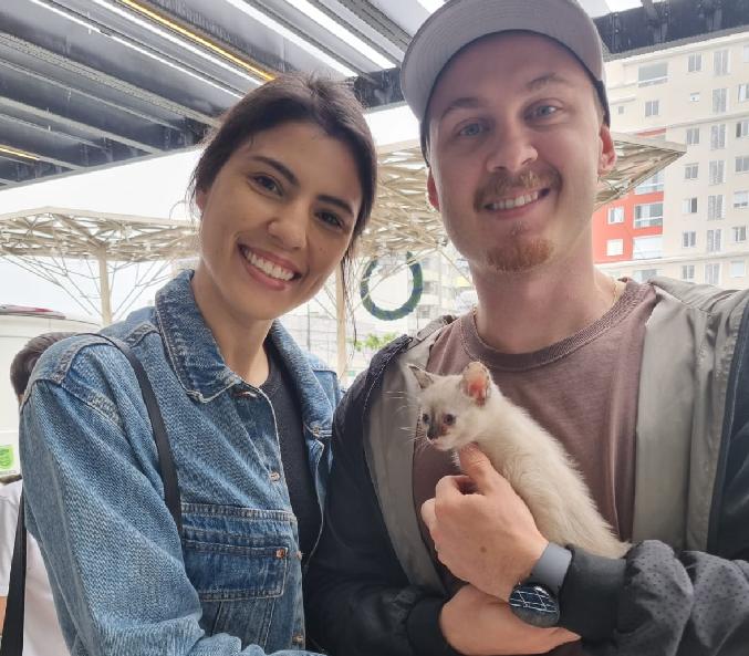 Feira da Fujama: 18 filhotes de gato adotados no sábado
