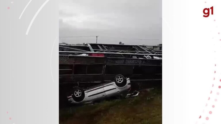 Caminhão-cegonha tomba e carros ficam espalhados por canteiro na BR-101 em SC; VÍDEO