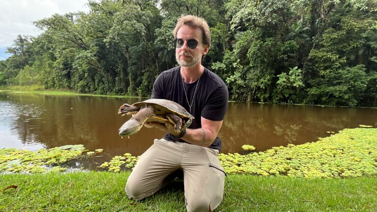 Espécie rara de Cágado é capturada e solta no Parque da Inovação