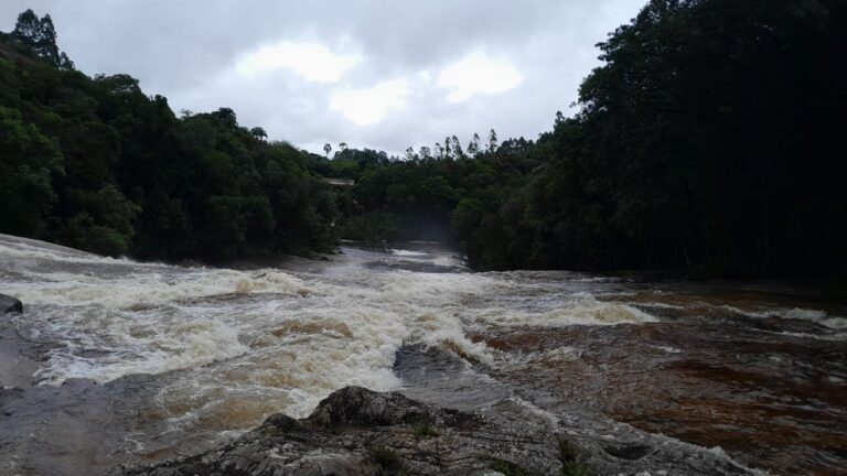 Turista argentino desaparece após nadar em rio na Grande Florianópolis