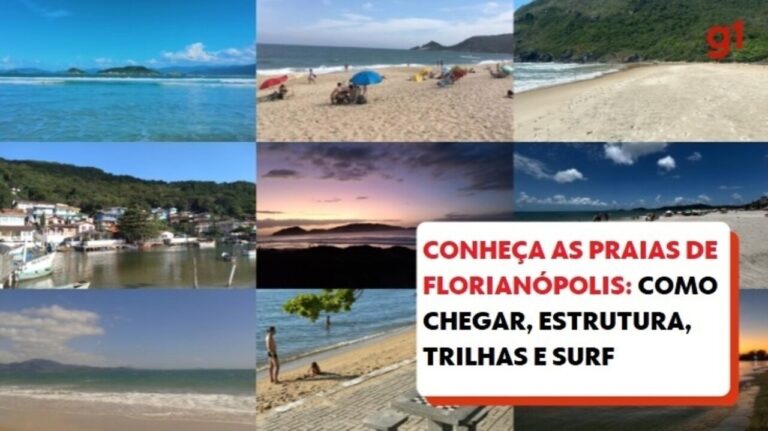 Vai dar praia? Dois de cada três pontos analisados em SC estão próprios para banho; veja onde