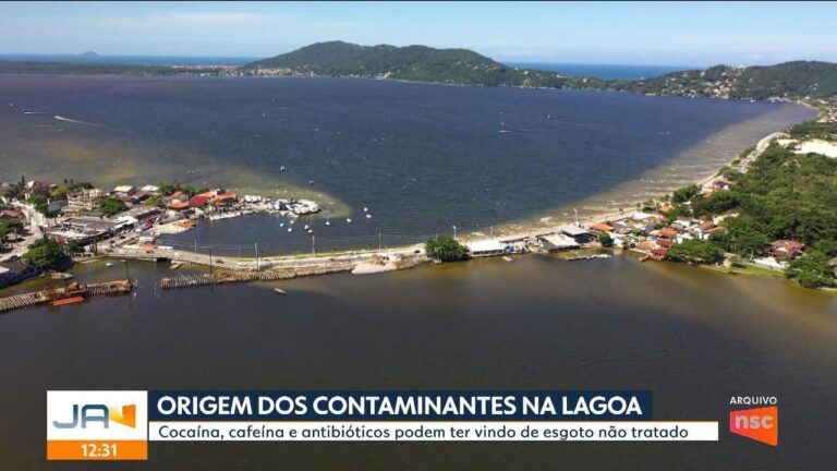 Namorado é preso suspeito de matar adolescente encontrada às margens de rio em SC | Santa Catarina