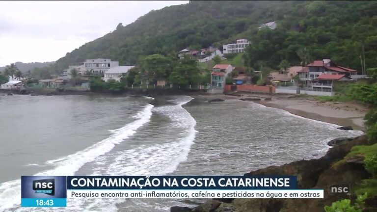 Ostras e 9 pontos do litoral de SC estão contaminados com antibióticos, hormônios e pesticidas, diz estudo | Santa Catarina