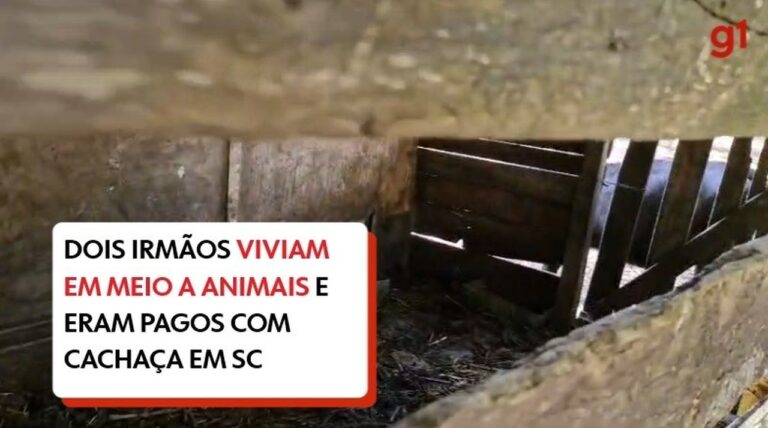 Irmãos em situação de trabalho escravo dormiam entre animais e eram ‘pagos’ com cachaça em SC | Santa Catarina