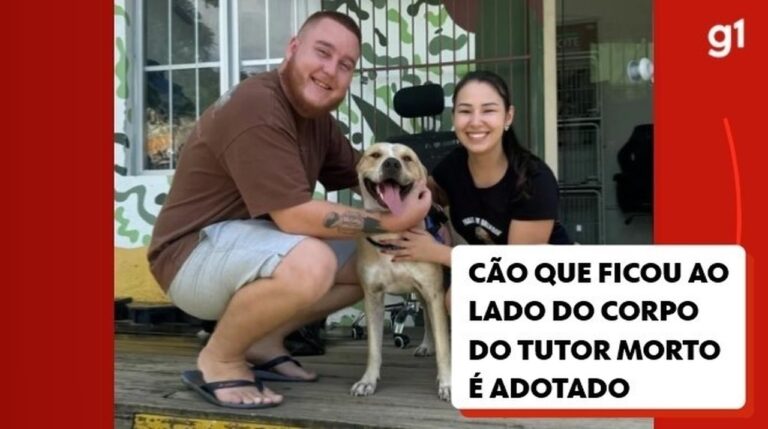 Cão que ficou ao lado do corpo do tutor morto em Balneário Camboriú é adotado
