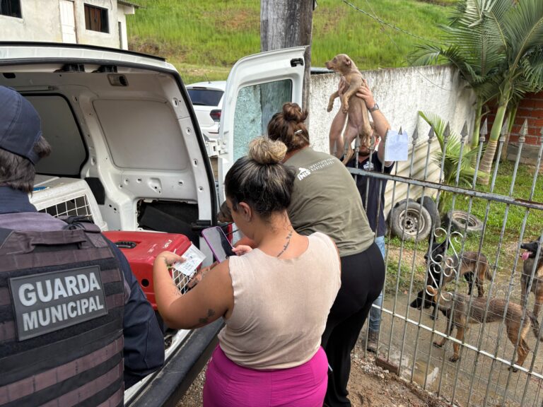 Canil com mais de 50 cães de raça e de grande porte é fechado após denúncias de maus-tratos em Itajaí | Santa Catarina