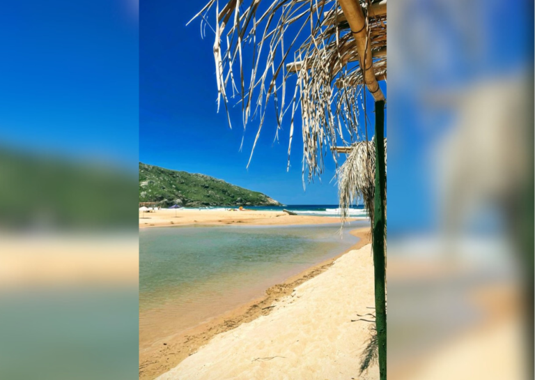 Praias de SC têm 160 pontos próprios para banho e 78 impróprios; veja onde
