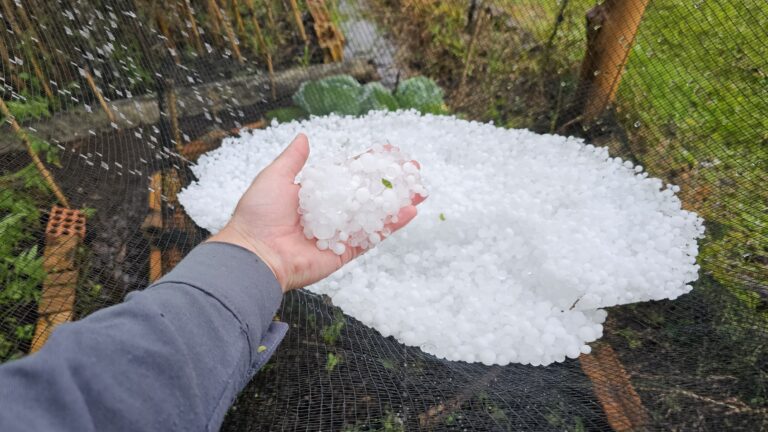 Temporais atingem SC e provocam granizo e ventania em meio a onda de calor