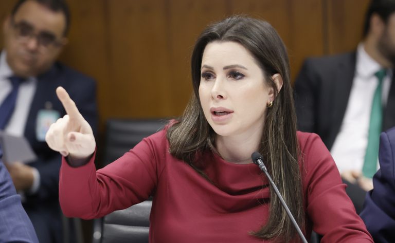 Comissão aprova projeto que prevê uso de algoritmos no combate a crimes digitais contra crianças e adolescentes – Notícias