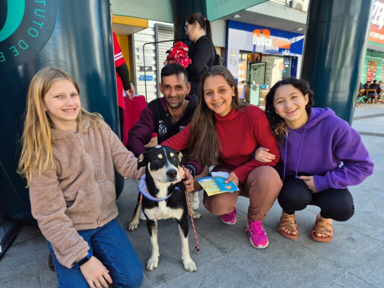 Nove pets ganham novos lares após Feira de Adoção na Praça