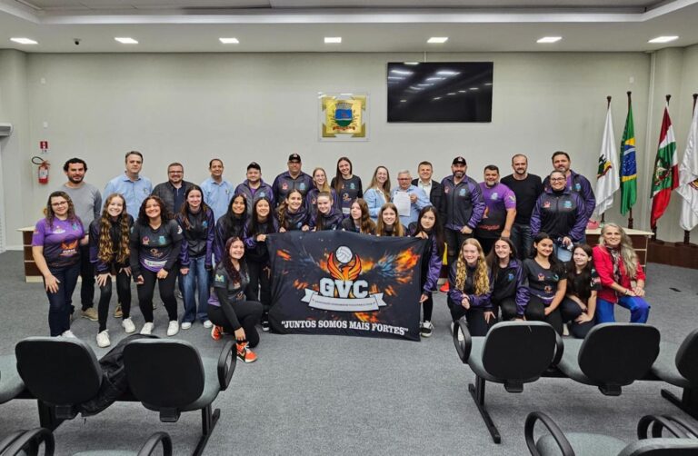 Projeto que declara de utilidade pública a Associação Guaramirim Volleyball Club é aprovado