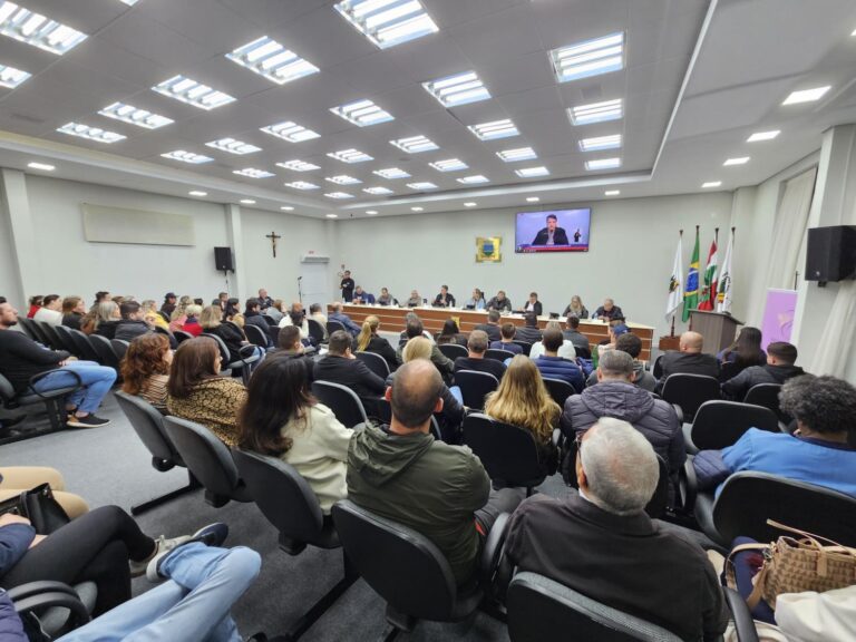 Vereadores pedem construção ou recuperação de pontes em Guaramirim