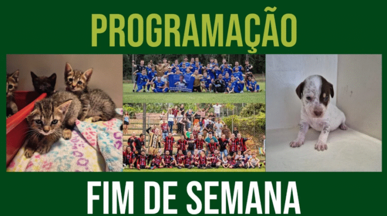 Confira a agenda de fim de semana em Jaraguá do Sul – 31/10 a 02/11