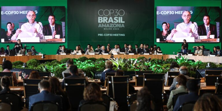 “COP é o lugar para resolver financiamento climático”, diz economista