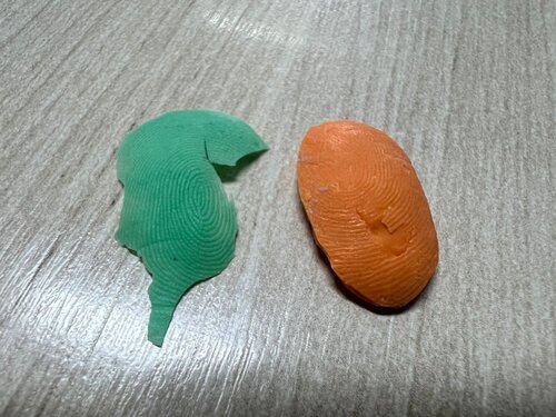 Polícia Civil prende dentista e auxiliar por uso de prótese com digital para burlar ponto em Schroeder