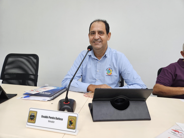 Vereador pede manutenção de dois túneis na BR-280 e limpeza dos pontos de ônibus na cidade