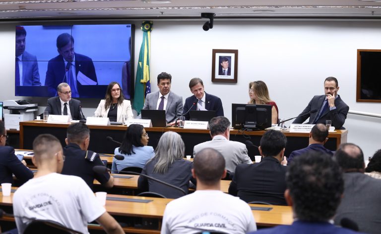 Comissão especial debate desafios federativos na segurança pública – Notícias