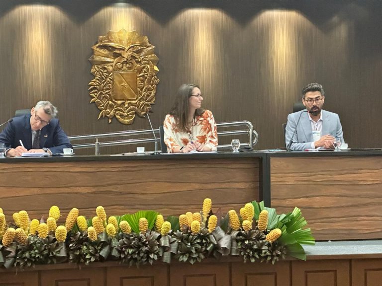 COP30: Redução de emissões de metano é crucial e urgente para limitar aquecimento global – Notícias