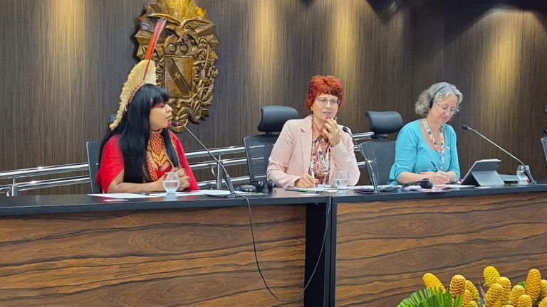 Parlamentares mulheres defendem integração entre gênero e clima em debate na COP30 – Notícias