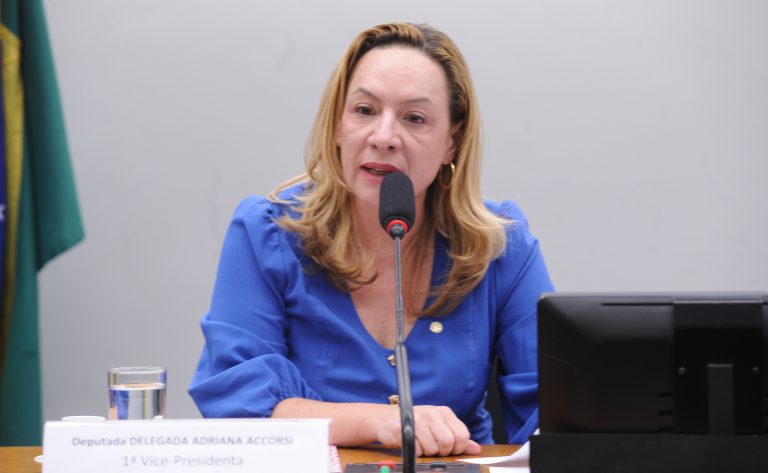 Comissão aprova acesso facilitado de vítima de violência doméstica a histórico criminal de agressor – Notícias