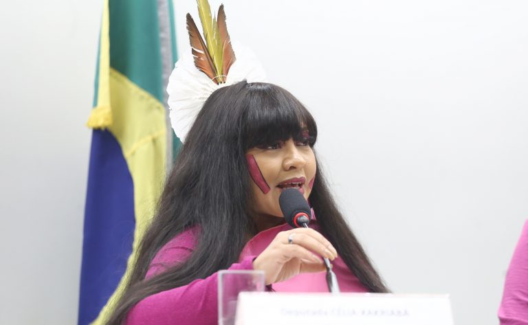 Comissão aprova preferência por profissionais mulheres no atendimento a vítimas de violência doméstica – Notícias