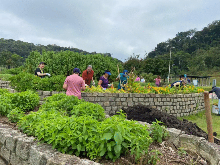 Abertas inscrições para a atividade “Mandala Sensorial”
