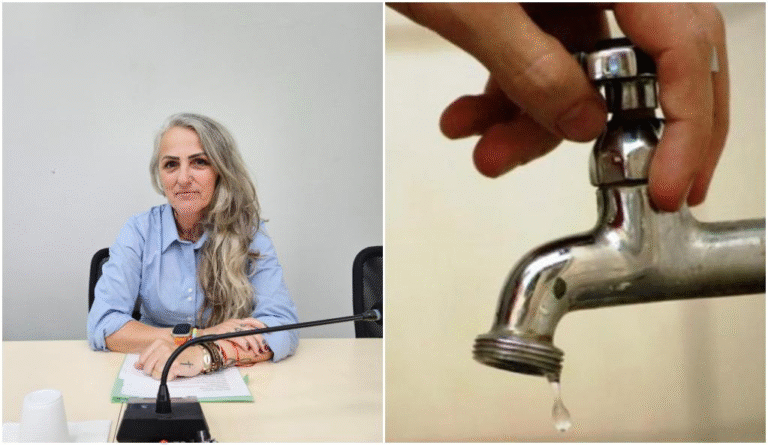 Vereadora solicita estudo para setorização da rede de abastecimento de água em Guaramirim