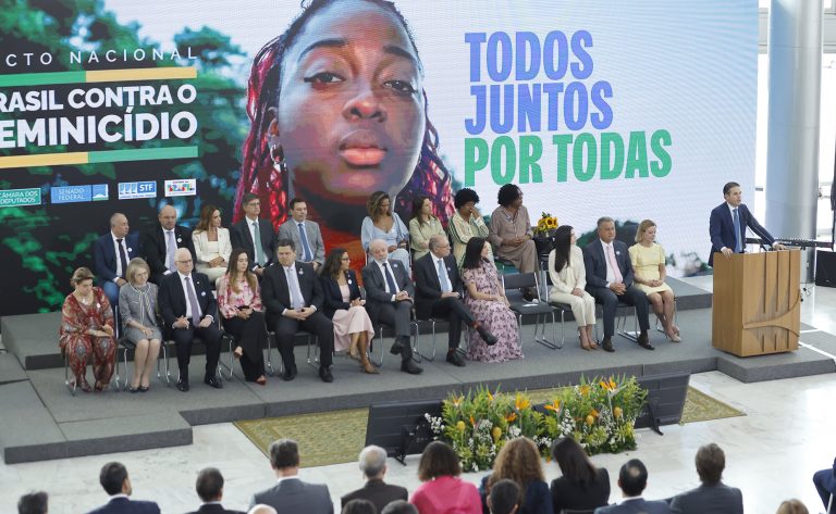 Comitê Interinstitucional contra o Feminicídio analisa sugestões para plano de ação – Notícias