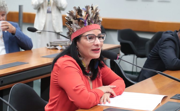 Juliana Cardoso é eleita presidente da Comissão da Amazônia – Notícias