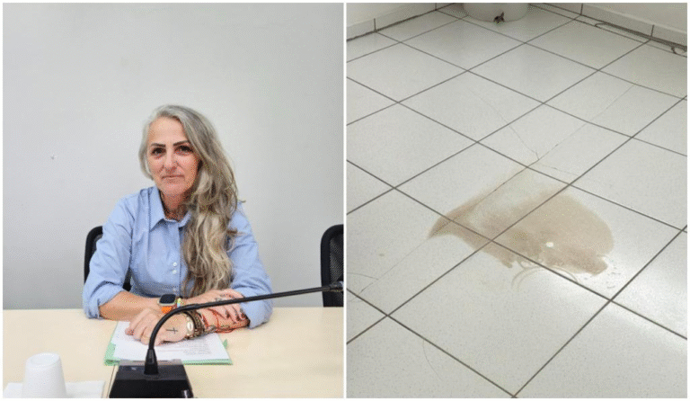 Vereadora solicita melhorias estruturais e reforma geral na UBS do Bairro Guamiranga