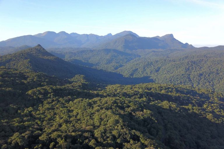 Comissão debate papel da Mata Atlântica na adaptação às mudanças climáticas – Notícias