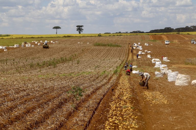 Comissão debate regras para contratação de trabalhador agrícola safrista – Notícias