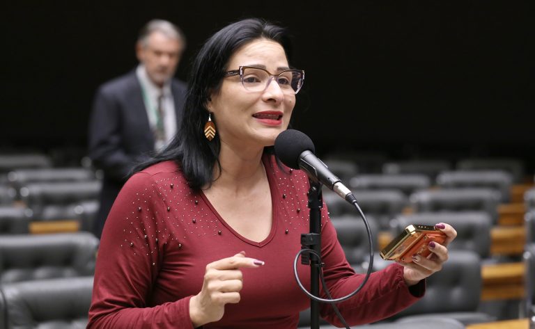 Comissão aprova isenção de IPI na compra de carro de sete lugares para mães de múltiplos – Notícias