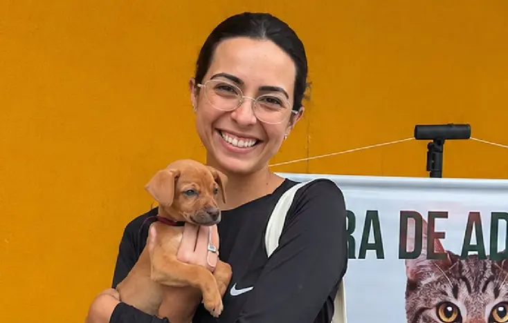 Número de adoções de pets deve superar o registrado em 2025